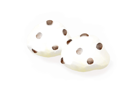 イラスト豆大福